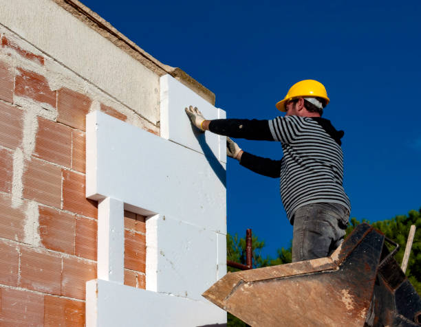 Best Cellulose Insulation in New Roads, LA