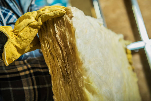Best Specialized Insulation Services in New Roads, LA
